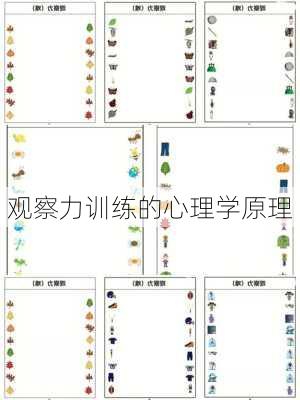 观察力训练的心理学原理