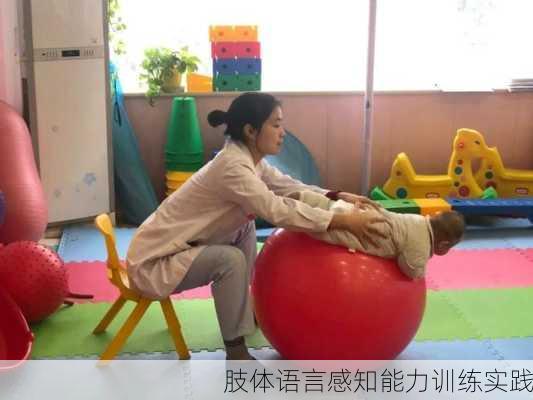 肢体语言感知能力训练实践