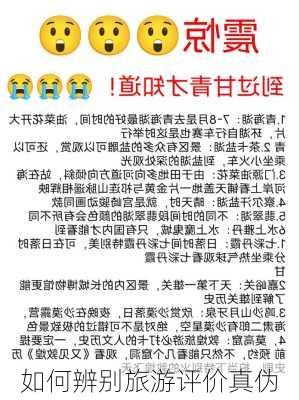 如何辨别旅游评价真伪