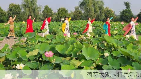 荷花大观园特色活动