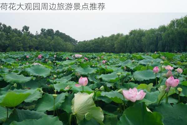 荷花大观园周边旅游景点推荐