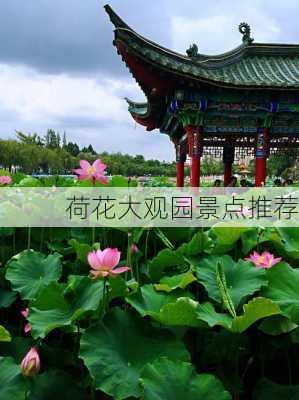 荷花大观园景点推荐