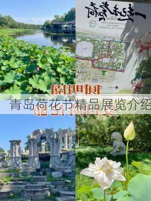 青岛荷花节精品展览介绍