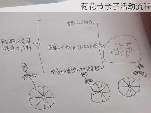 荷花节亲子活动流程