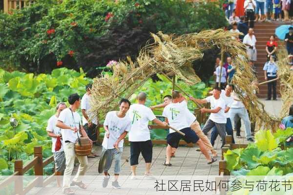 社区居民如何参与荷花节