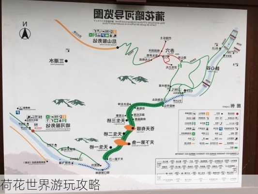 荷花世界游玩攻略