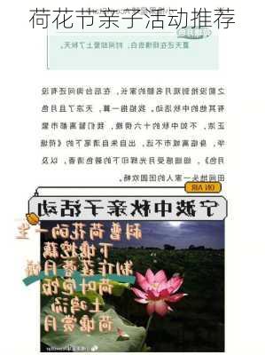 荷花节亲子活动推荐