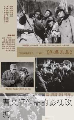 曹文轩作品的影视改编
