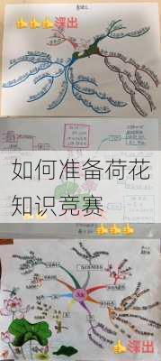 如何准备荷花知识竞赛