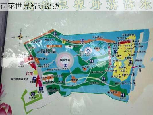 荷花世界游玩路线