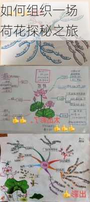 如何组织一场荷花探秘之旅