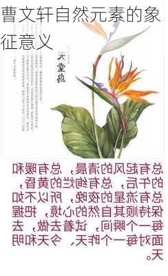 曹文轩自然元素的象征意义