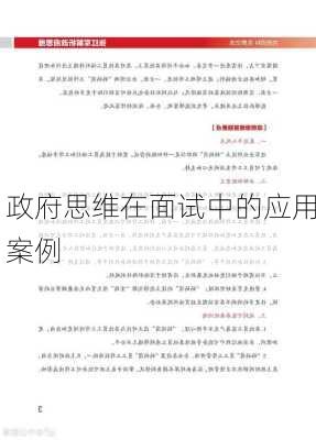 政府思维在面试中的应用案例