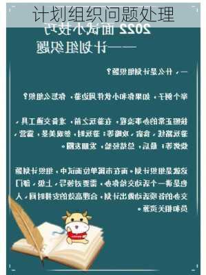 计划组织问题处理