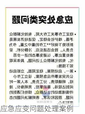 应急应变问题处理案例