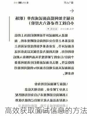高效获取面试信息的方法