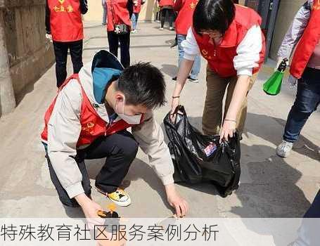 特殊教育社区服务案例分析