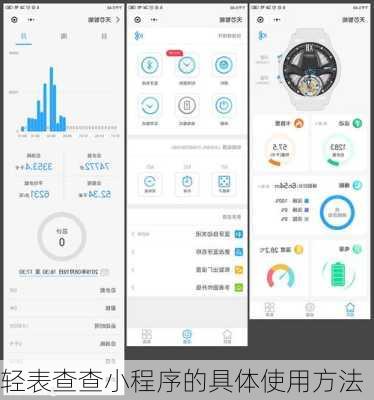 轻表查查小程序的具体使用方法