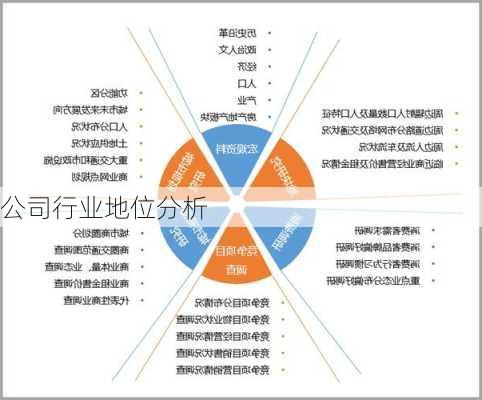 公司行业地位分析