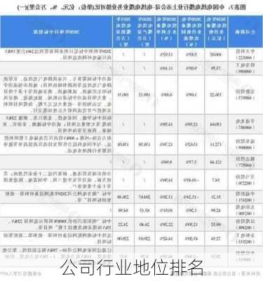 公司行业地位排名