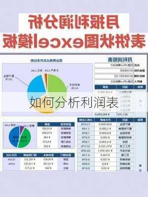 如何分析利润表
