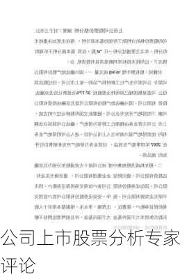 公司上市股票分析专家评论