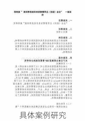 具体案例研究