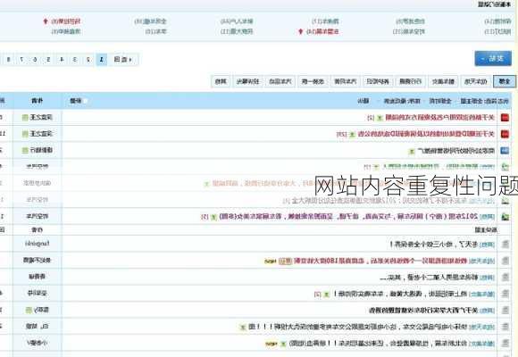 网站内容重复性问题