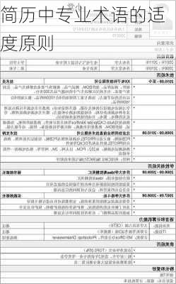 简历中专业术语的适度原则