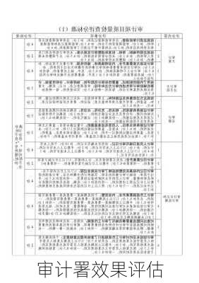 审计署效果评估