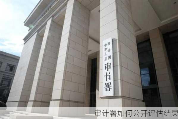 审计署如何公开评估结果