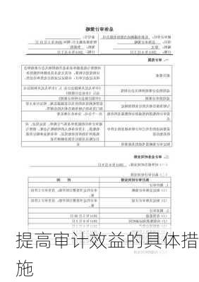提高审计效益的具体措施