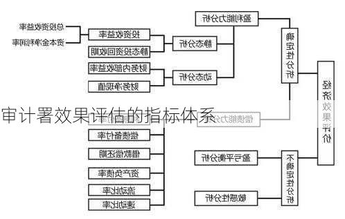 审计署效果评估的指标体系
