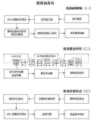 审计项目后评估案例