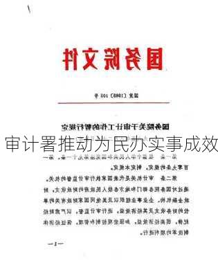 审计署推动为民办实事成效
