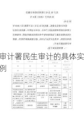 审计署民生审计的具体实例