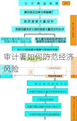 审计署如何防范经济风险