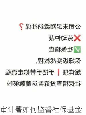 审计署如何监督社保基金