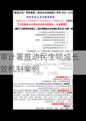 审计署推动民生领域长效机制案例