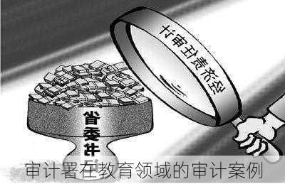 审计署在教育领域的审计案例