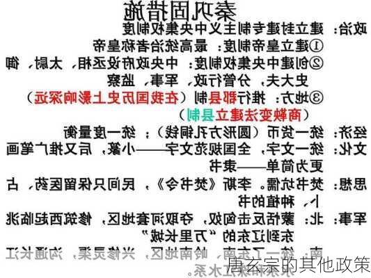 唐玄宗的其他政策