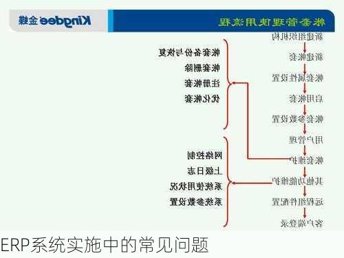 ERP系统实施中的常见问题