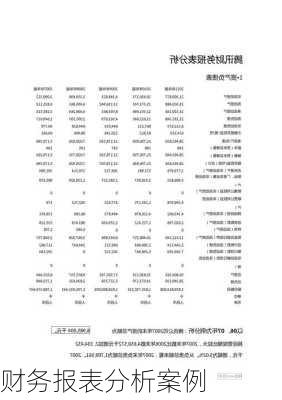 财务报表分析案例