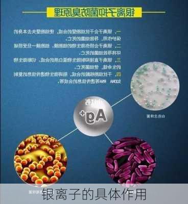银离子的具体作用