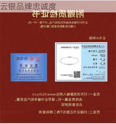 云银品牌忠诚度