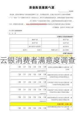 云银消费者满意度调查