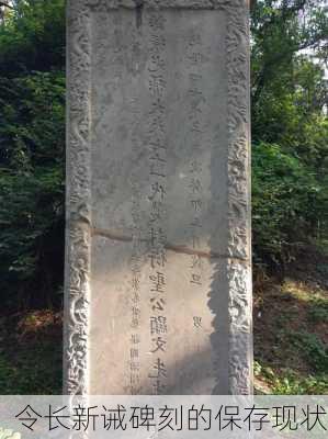 令长新诫碑刻的保存现状