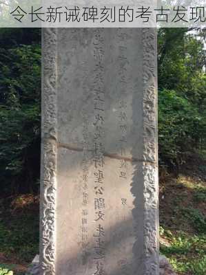 令长新诫碑刻的考古发现