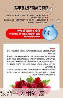 银离子应用领域