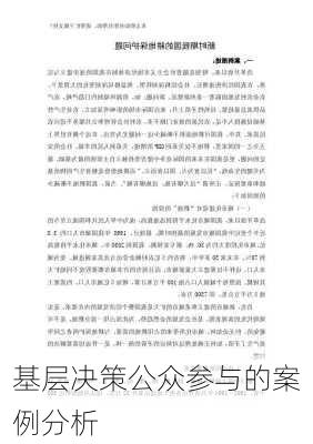 基层决策公众参与的案例分析